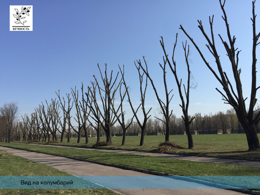 Шафировский крематорий