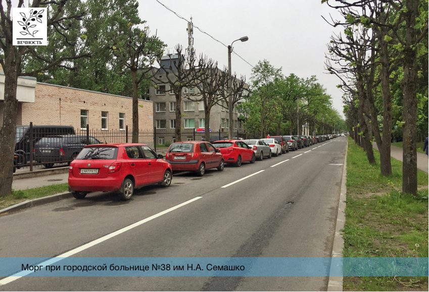 пушкинский морг 