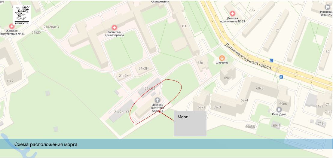 больница на народной спб морг