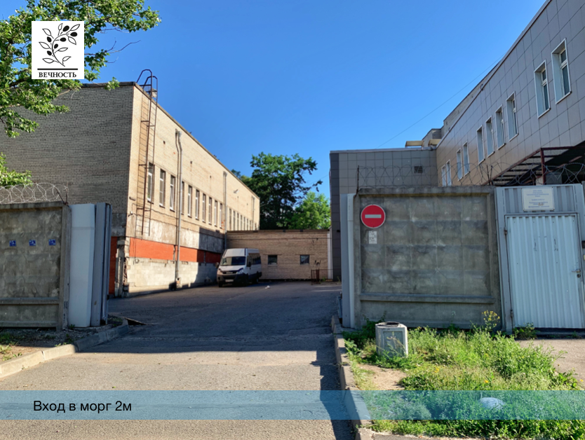 морг костюшко