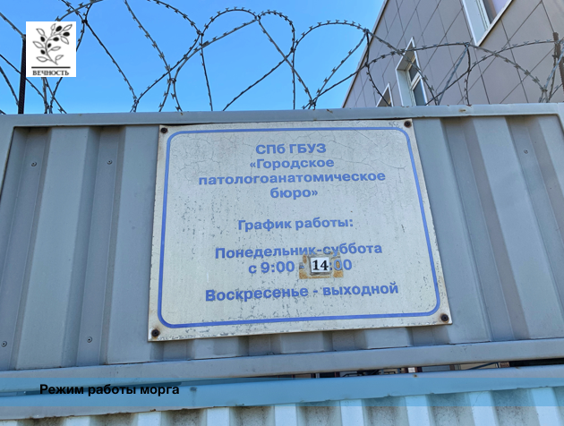 морг костюко 2