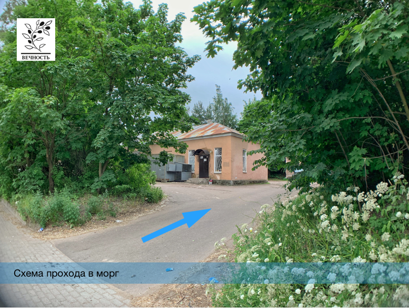 морг выборг арб