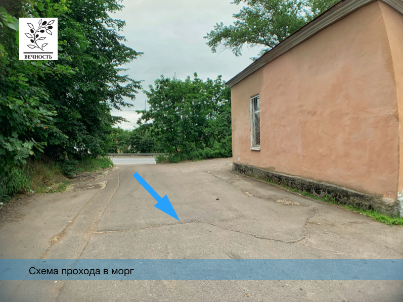 выборгский морг на Куйбышева 