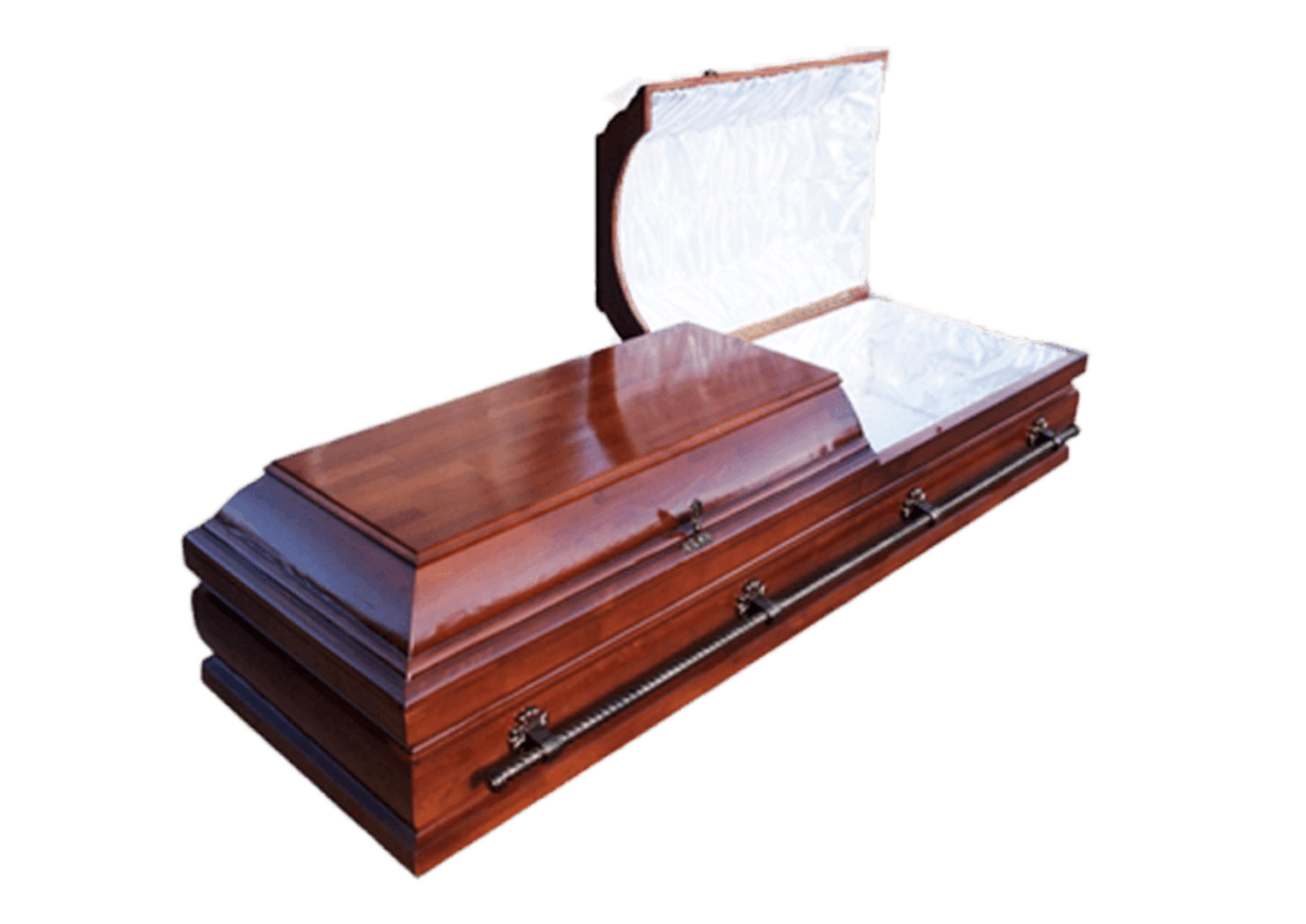 купить Гроб Америка